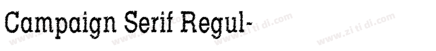 Campaign Serif Regul字体转换